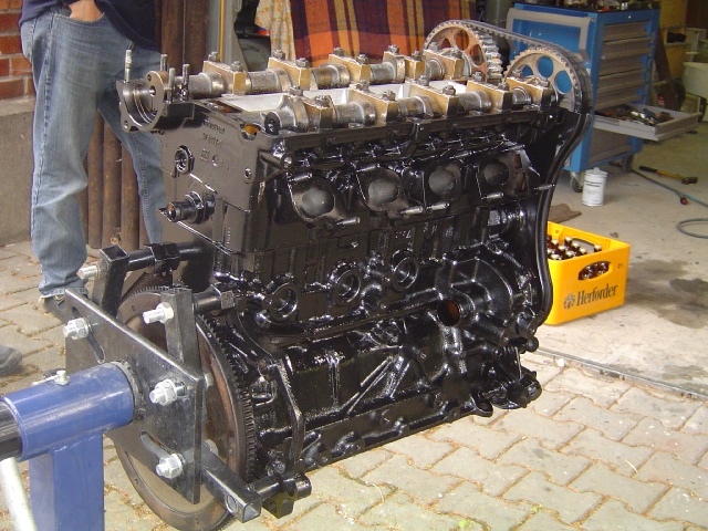 GTE2006-313