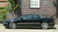 calibra4