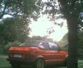 golf08